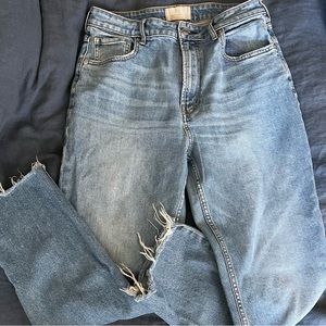 Everlane Cheeky Straight Jeans